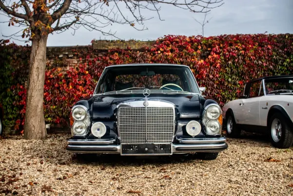 BlueChip Casino Aplicación Android/iOS